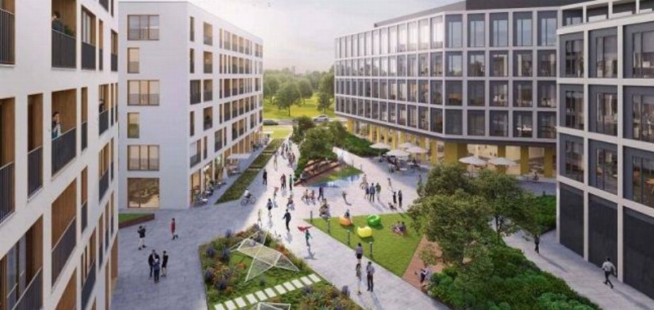 Just GYM to debut in Echo’s Warsaw scheme