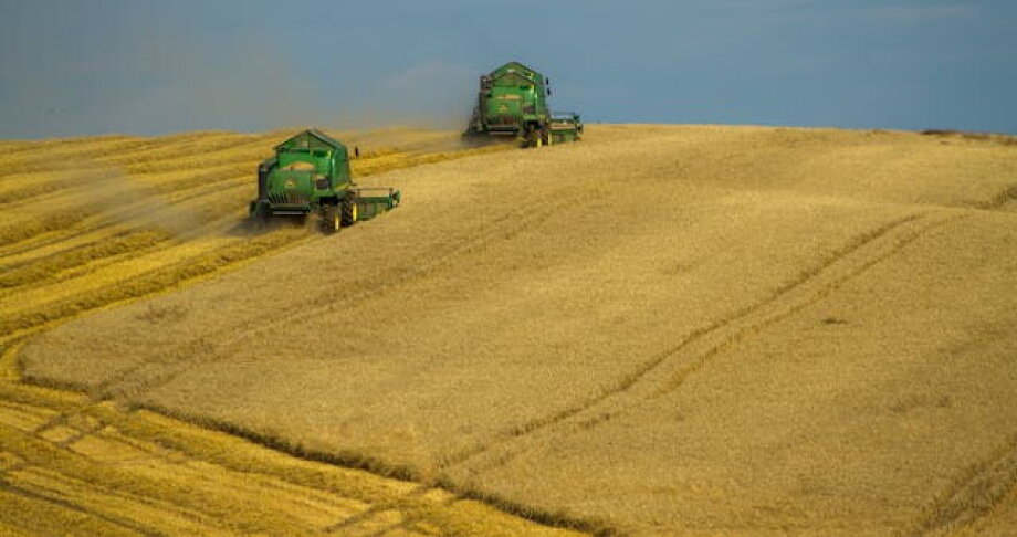 Poland has 9 million tons of grain surplus