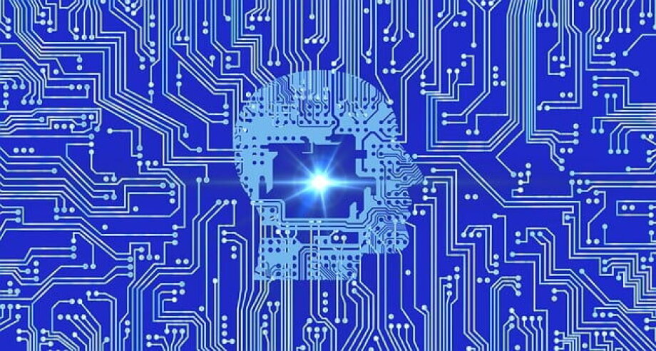 Nearly quarter of Polish firms have already implemented AI