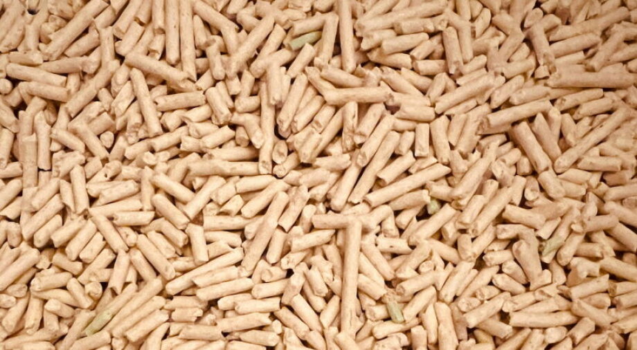 PRP: Poland will have to import wood pellets without domestic support for industry