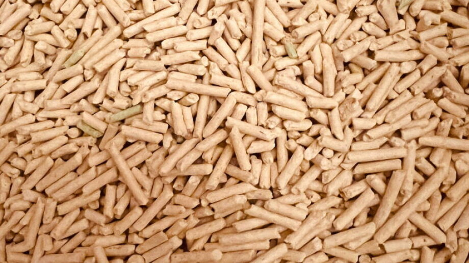 Pellet boiler most expensive way to heat house in Poland