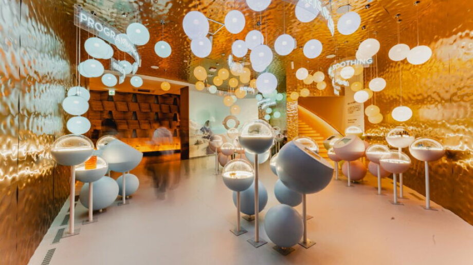 Poland promotes firms at Expo