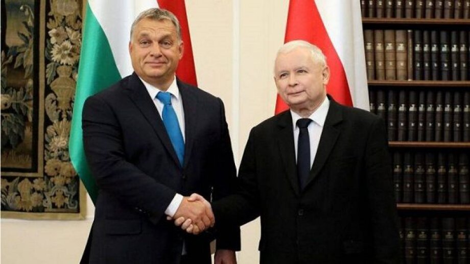 Poland and Hungary immune to Germany’s problems