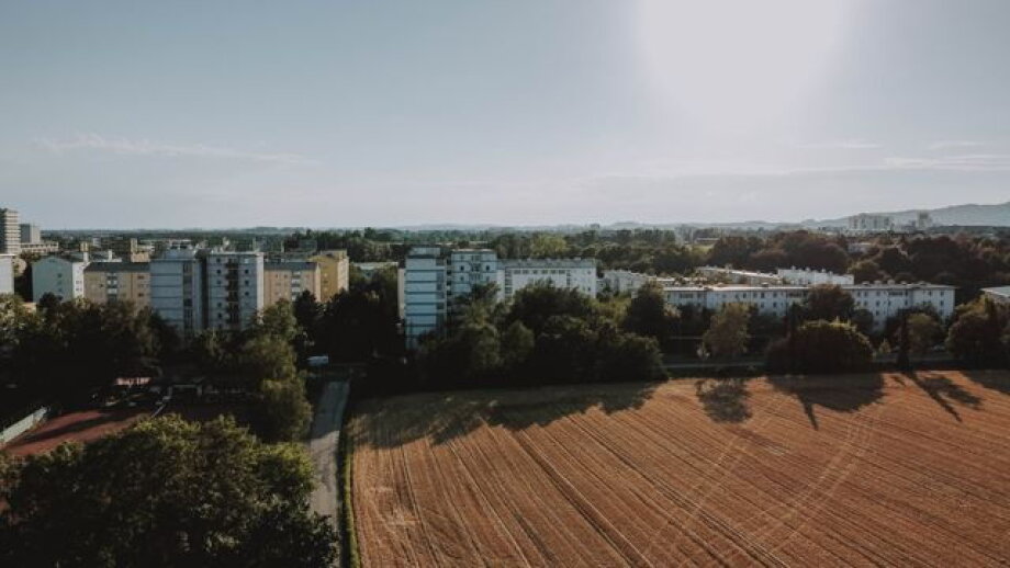 Disputes between farmers and neighbors will affect real estate prices