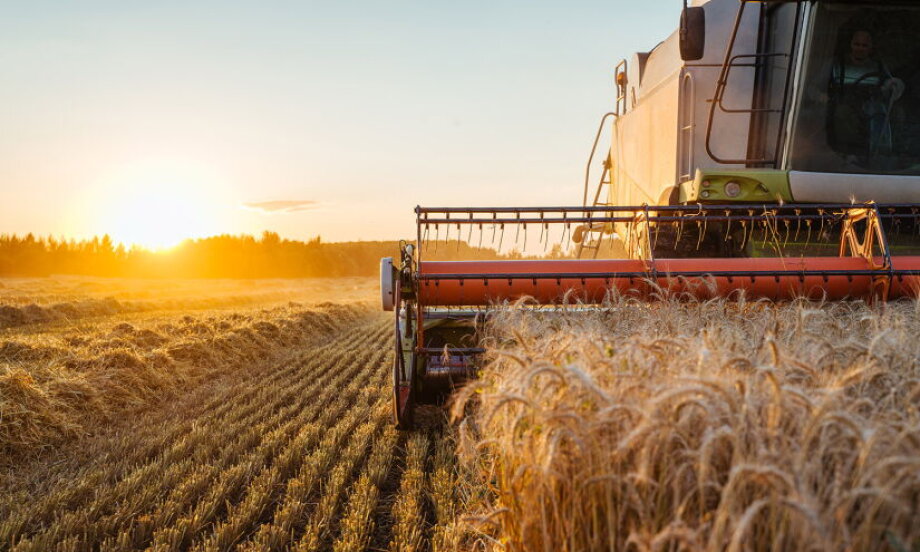 Agriculture investment gap