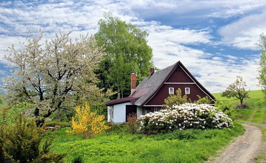 Interest in home sales increased by 46% y/y in July - Nieruchomosci-online.pl