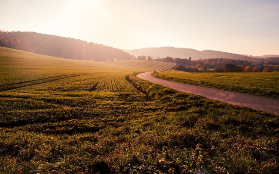 Government adopts draft law on land trading