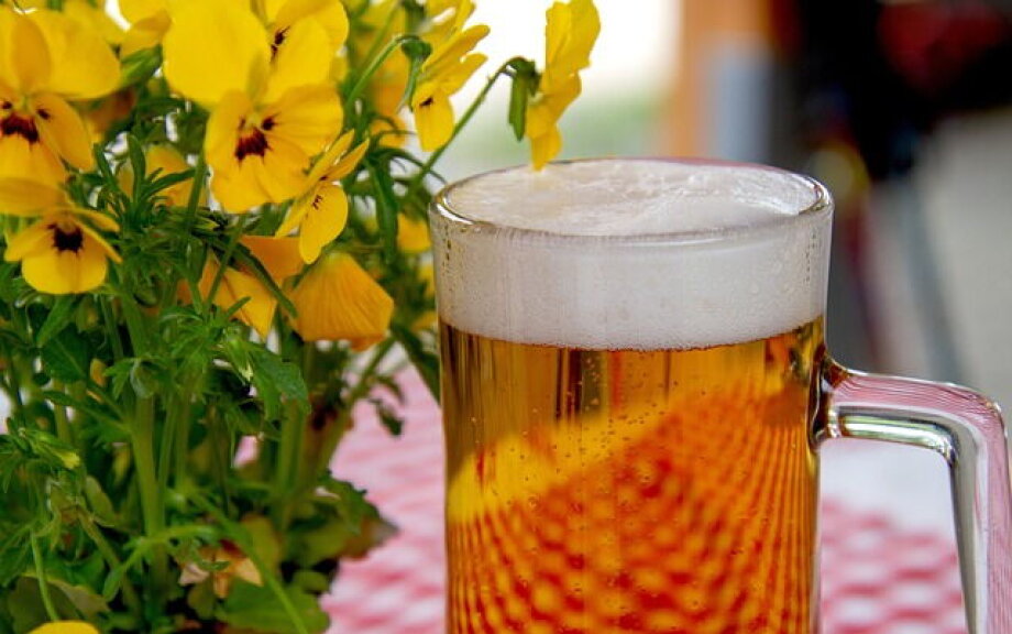 Beer production grew by 3% in April