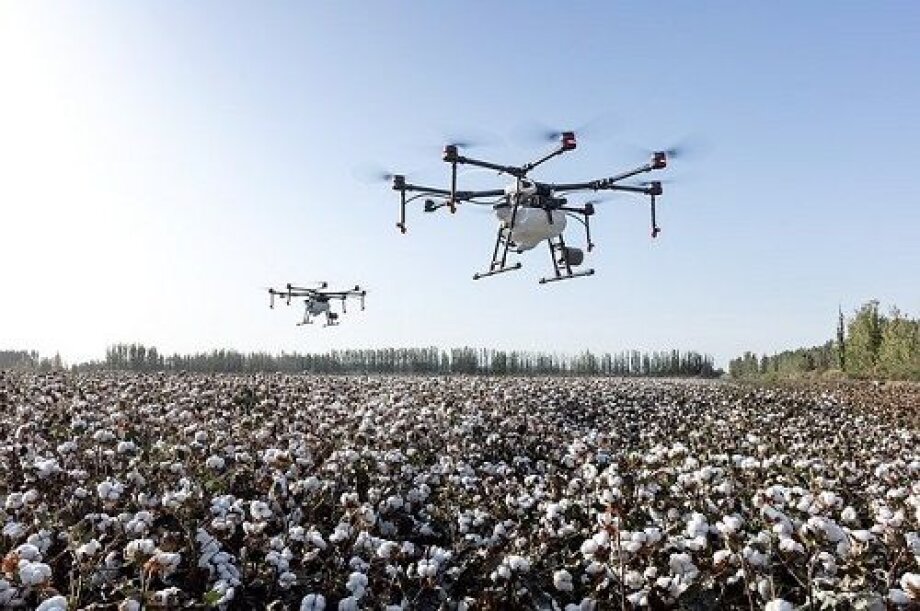 40% of jobs will change or disappear
