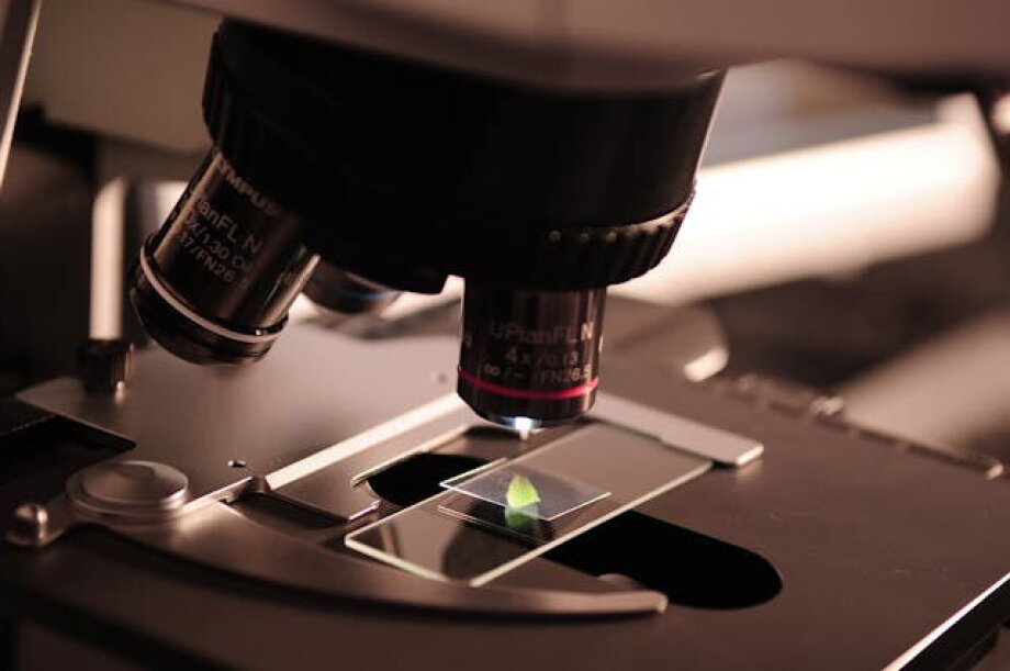 Polish CancerCenter.AI platform improves the work of laboratories