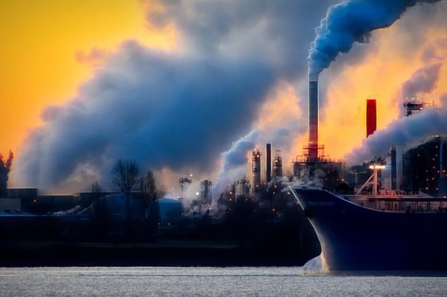 GUS: more registrations of new companies in Q1 2019