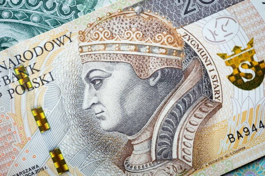 Zloty unexpectedly strengthened against the Euro