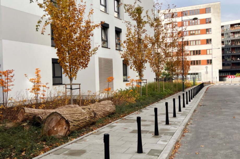 Dom Development revitalizes Żoliborz streets