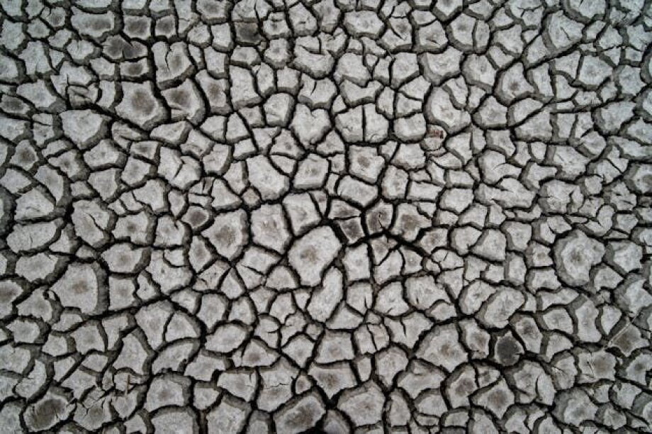 Gas power plants built in areas of severe water stress