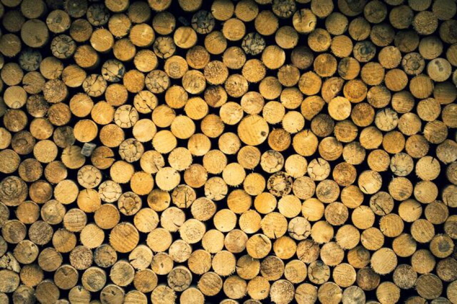 Pellet subsidies increase by 52%, but not everyone will receive support
