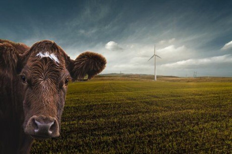 Each Pole produces 8.76 tonnes of CO2 per year