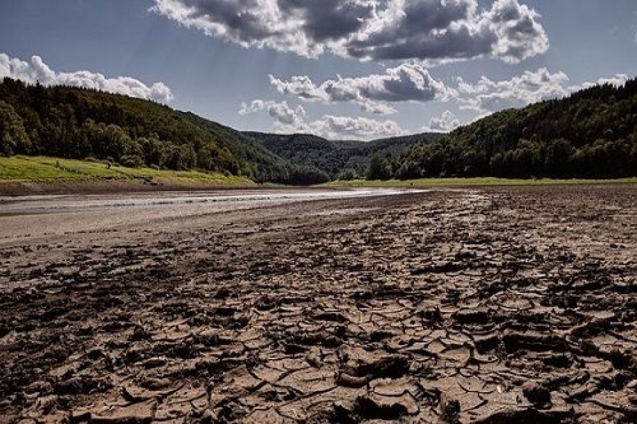 Poland hit by ‘intense’ drought: Polish water authority