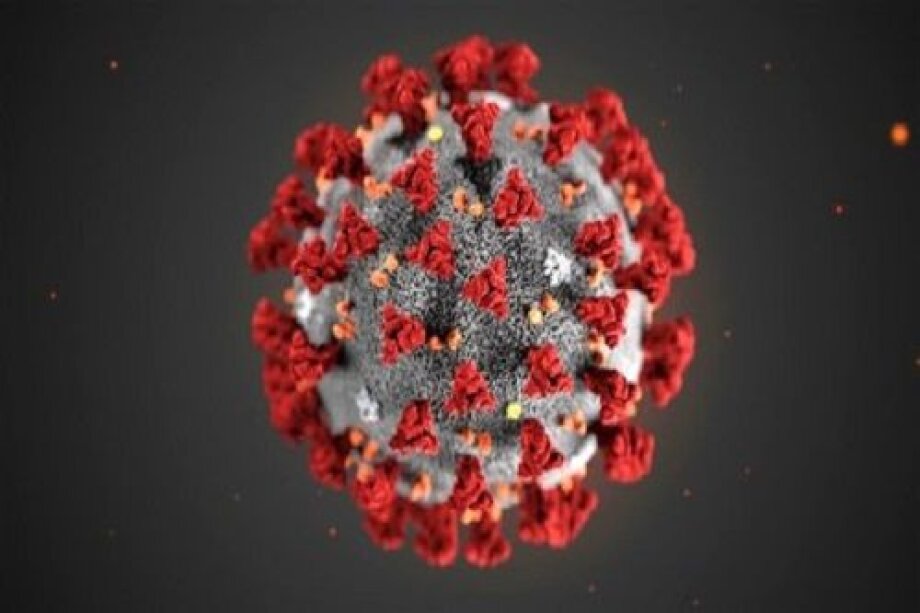 Coronavirus slowdown in China to affect Poland