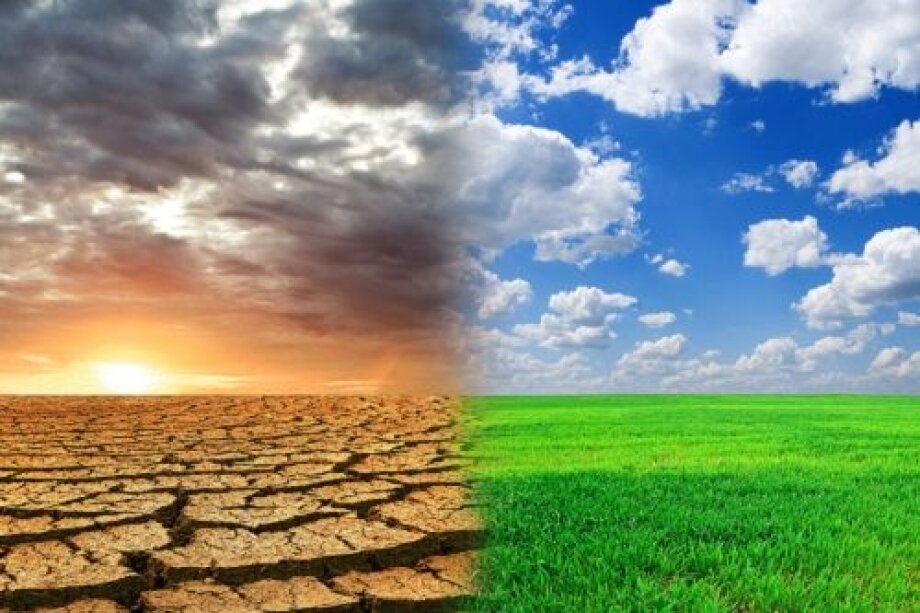 Poland 4th among countries worst spending EU money on green transformation