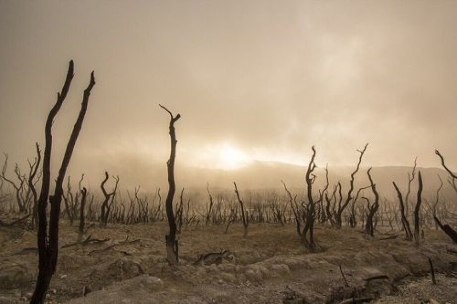 ‘Current drought has very negative impact on sowing’
