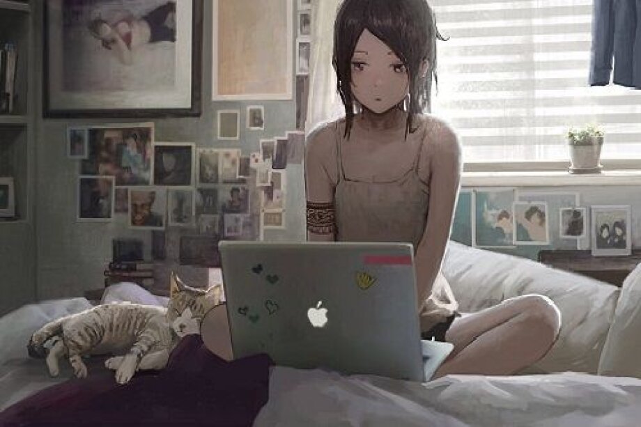 Poland above EU average in coverage and use of high-speed internet