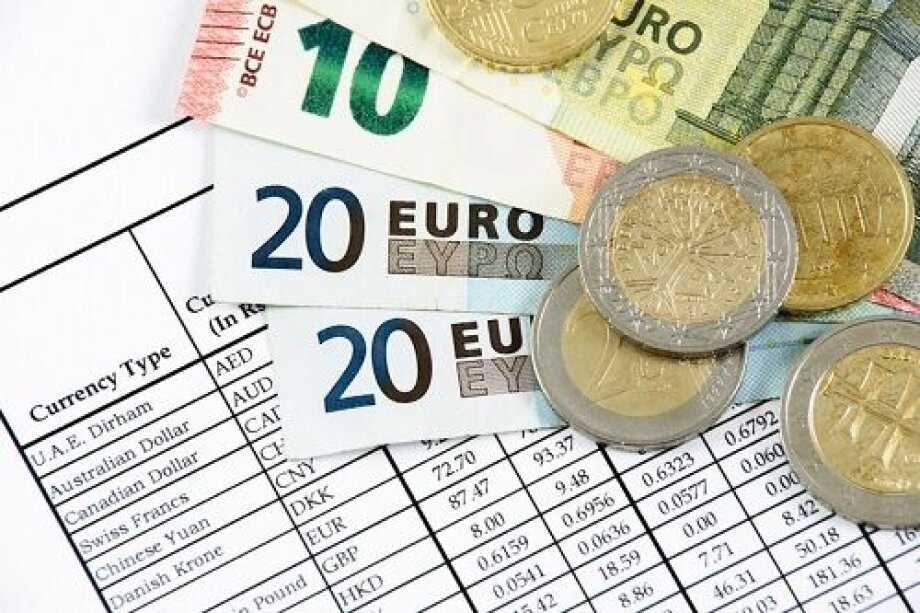 Euro doing better and better during the crisis: analysts