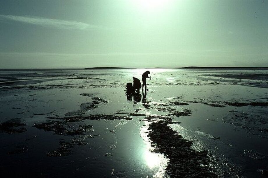 Photon Water launches groundwater remediation trial project in Australia