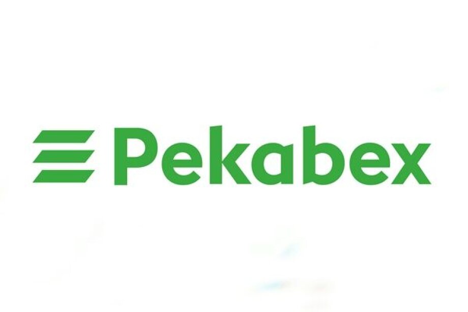 Pekabex: takeover talks in Germany well advanced