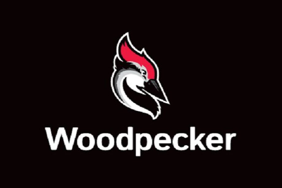 Woodpecker.co wants to debut on WSE