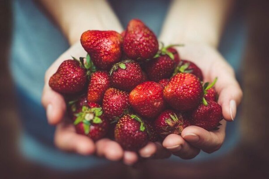 Polish frozen strawberries conquer export markets