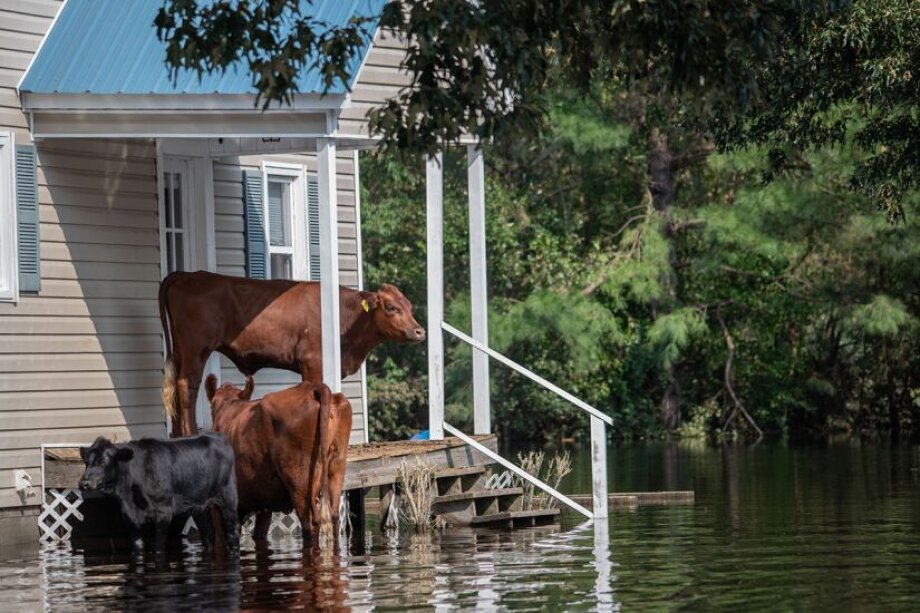 Polish Water Board’s plan to protect cities from flooding