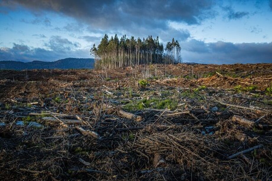 Climate change to hit the economy six times harder than economists predicted