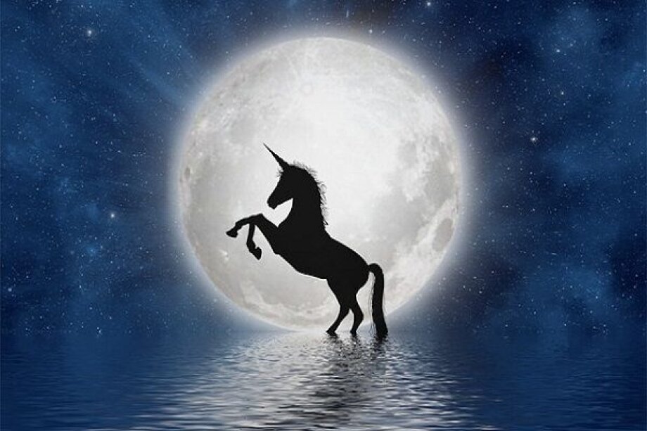DocPlanner is the first Polish unicorn