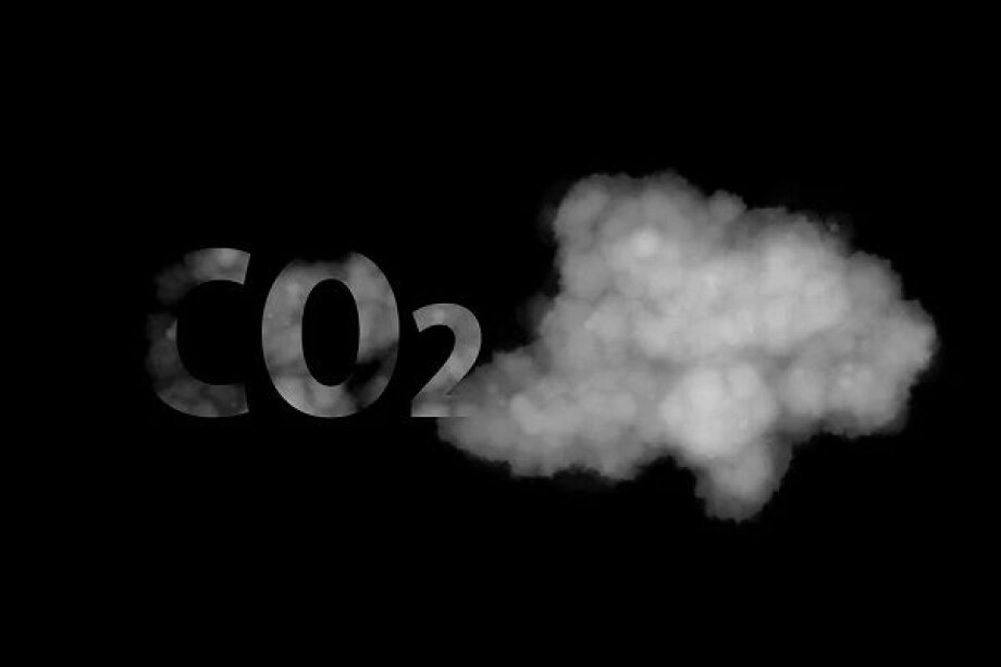 Only 11% of companies effectively reduce CO2 emissions