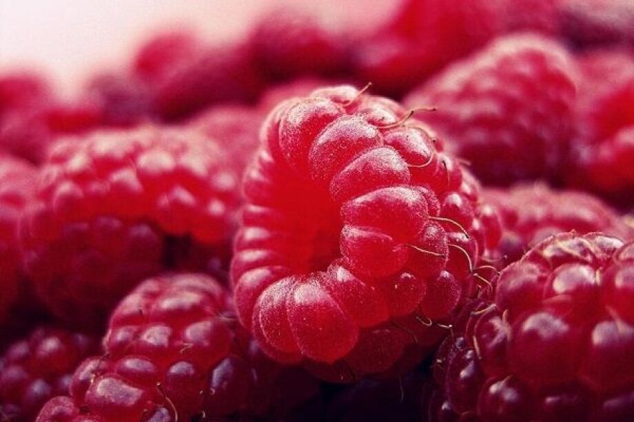 Ukraine entered the TOP-5 world exporters of berries
