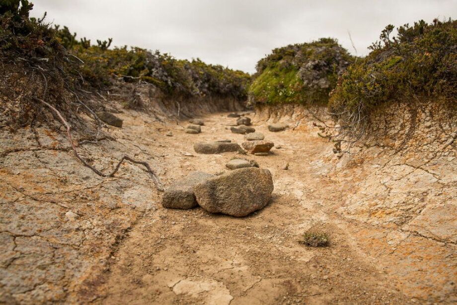 Severe drought impacts crops