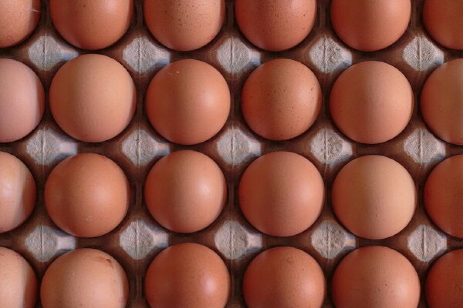 Traders Concerned Over EU's Potential Egg Regulations