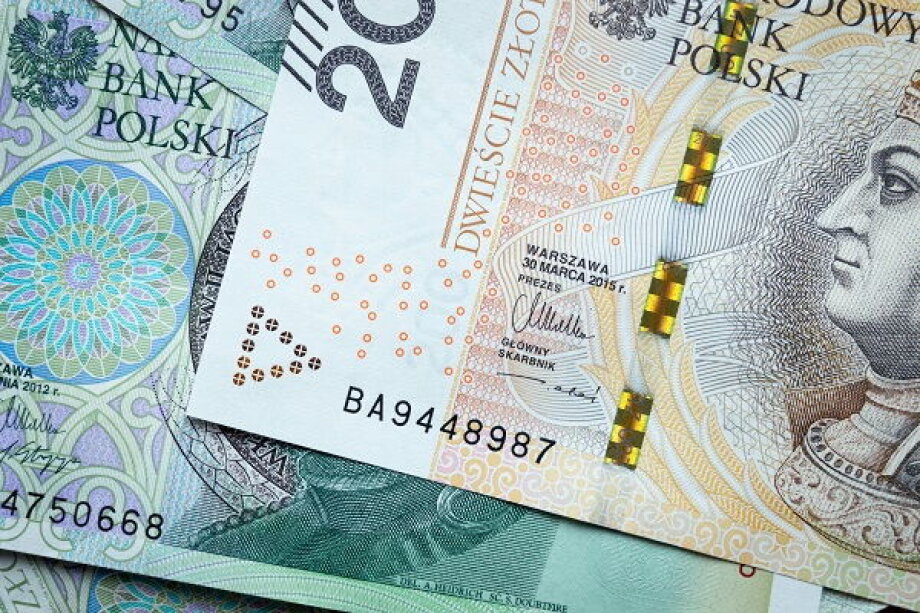 Polish Zloty Faces Further Weakening Amid Stock Market Turbulence