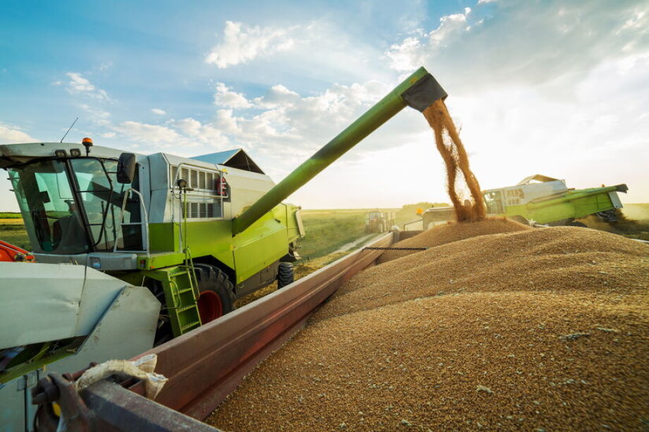 Fines issued in grain scandal