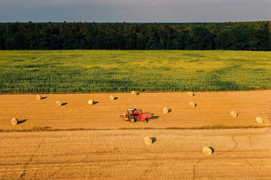 Poland has the second largest number of farms after Romania - Eurostat