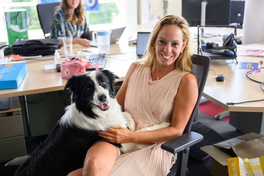 Dogs at work – how our four-Legged friends affect our wellbeing