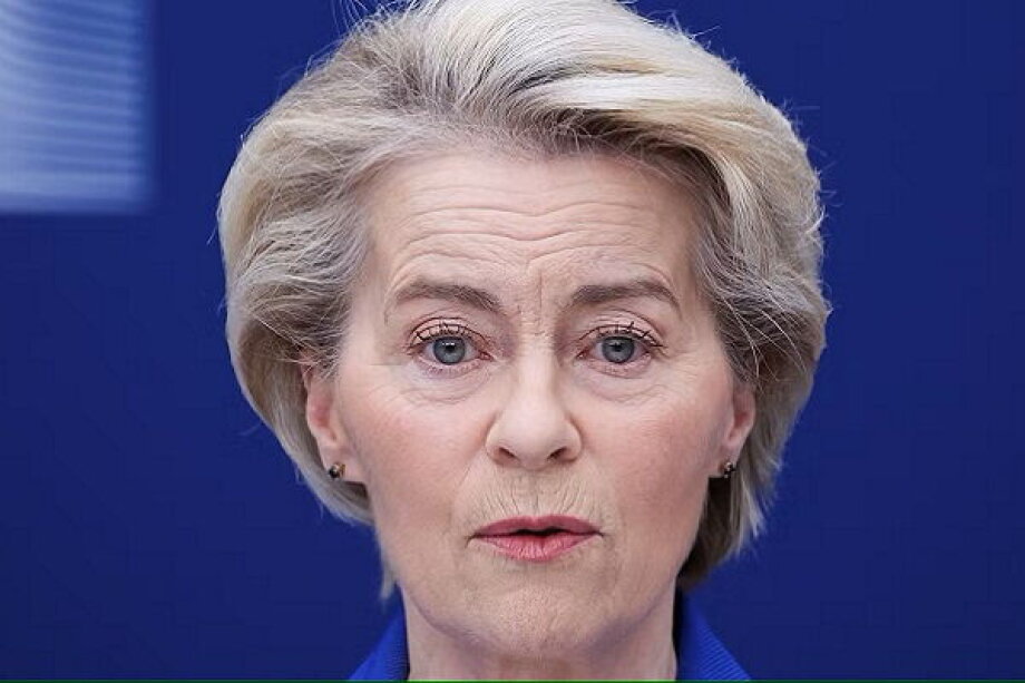 PiS Pushes for Dismissal of von der Leyen. 74 MEPs Support Motion