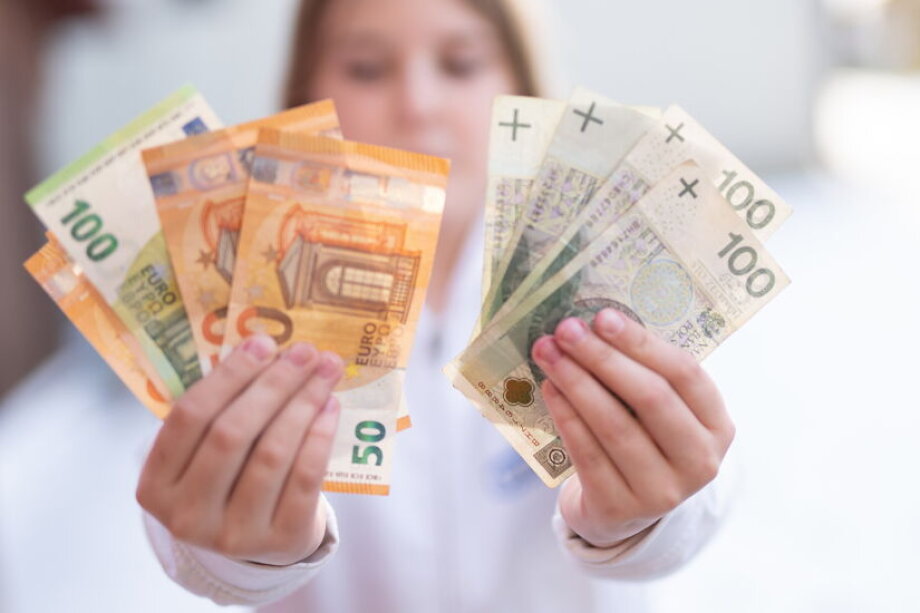 Zloty shows slight rebound