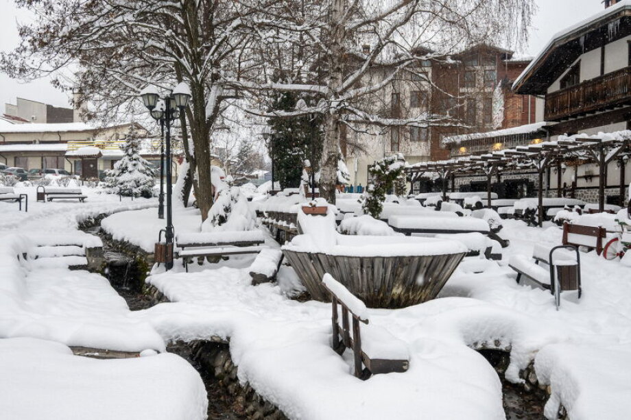 Winter break disappoints