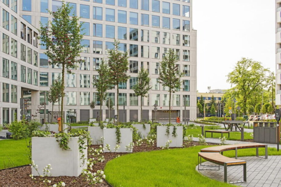 Regional offices gain momentum