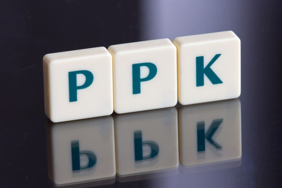 PPK assets dip