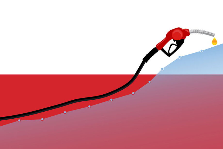 Gas sector fuels growth