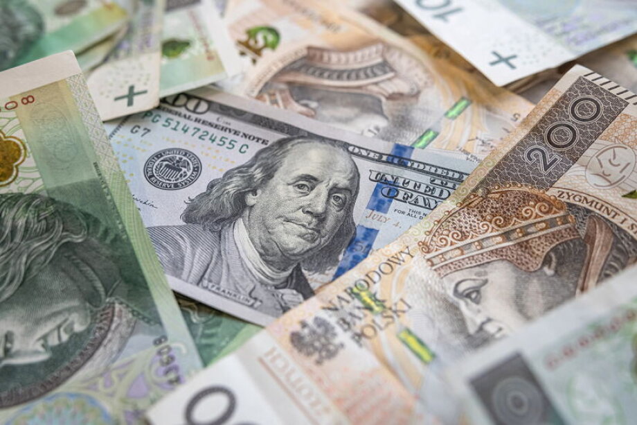 Złoty defies headwinds