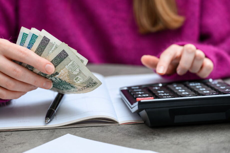 Polish household savings reach elevated levels