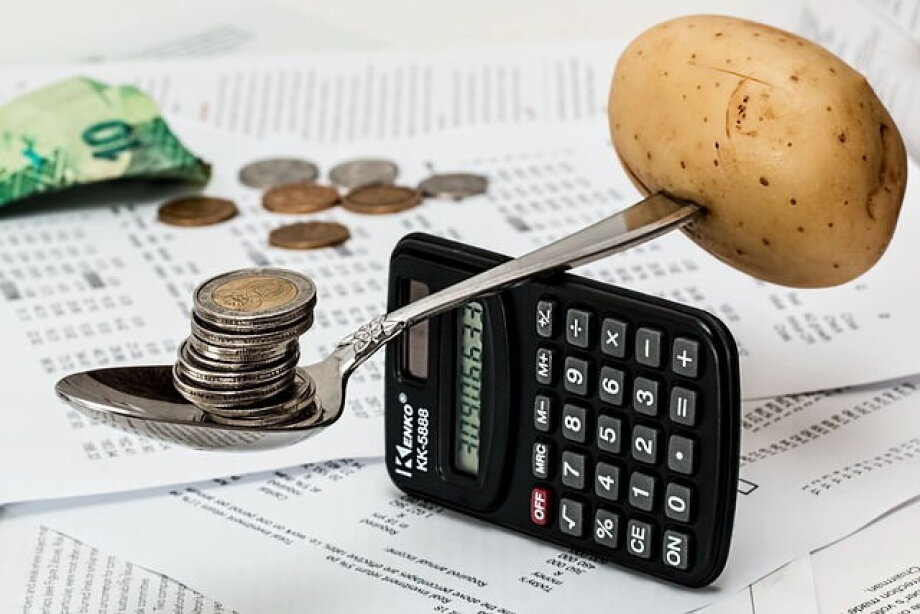 Without anti-inflation shield, inflation to reach 24% in Feb - Kotecki, MPC